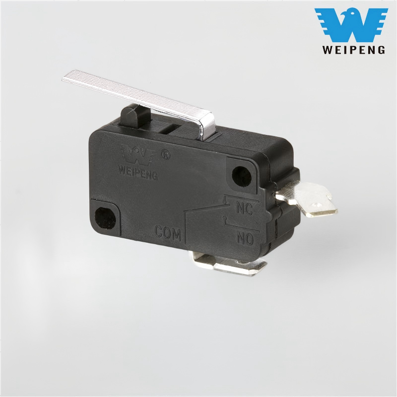 10A 250V Oto Yıkama Makinesi Mikro Anahtarı