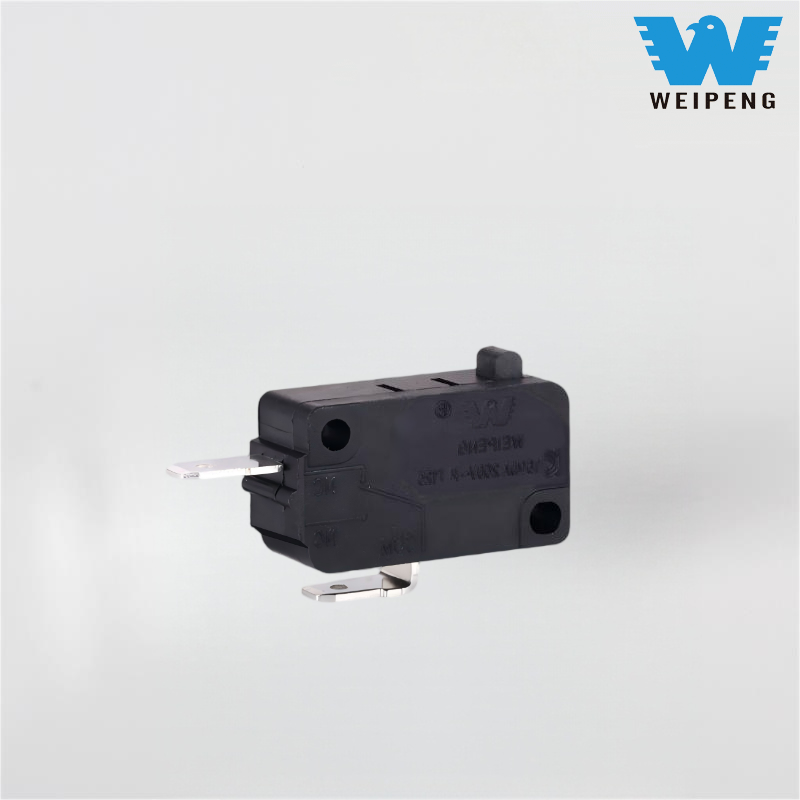 Silver Contact Fritöz Mikro Anahtar